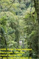 44203 26 042 Veruga Rainforest, Puerto Limon, Costa Rica, Central-Amerika 2022.jpg
